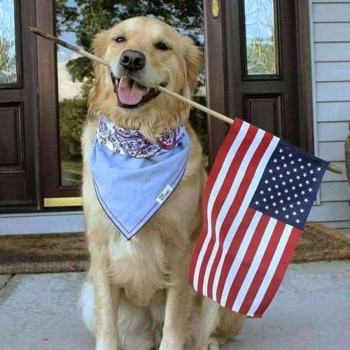 FB_IMG_16214345853074163