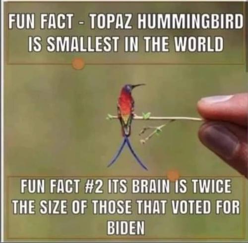 FB_IMG_1663348220122