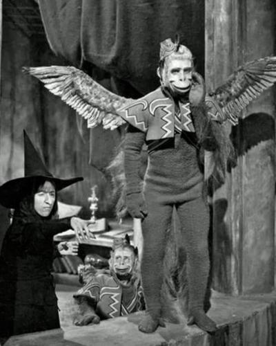 FB_IMG_1662143327182