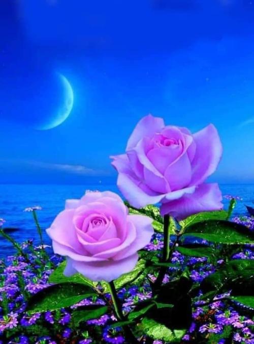 FB_IMG_1661974522913