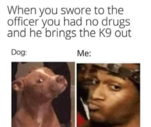 FB_IMG_1663264899502