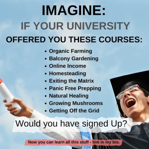 JEB stories 9-22 (10)