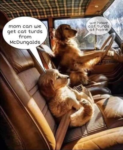 FB_IMG_1662386295734