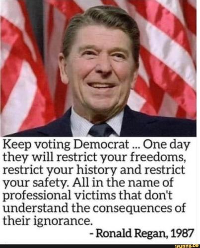 xephula_dee2466cdb4a0742f32381faf8b31b03