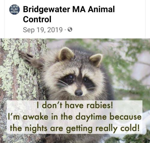 Screenshot_2022-09-19-20-05-28-516_com.facebook.katana