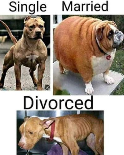 FB_IMG_1664373694785