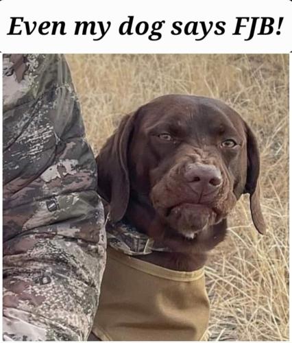 FB_IMG_1662824715624