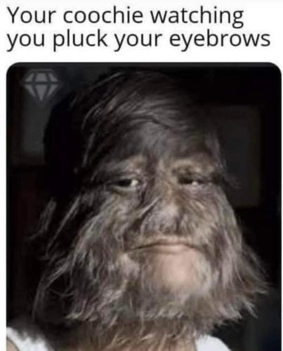 FB_IMG_1662934089238