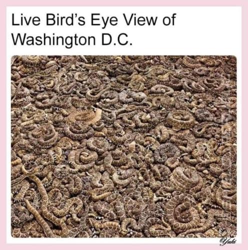 FB_IMG_1663810840393