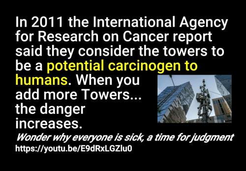 Screenshot_2022-09-12-10-24-39-581_cn.wps.moffice_eng