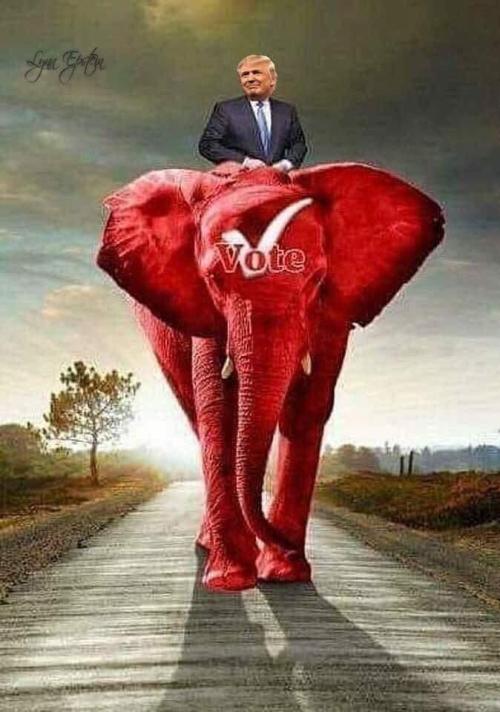 3b5711ef97134c337782a8203ad1c434