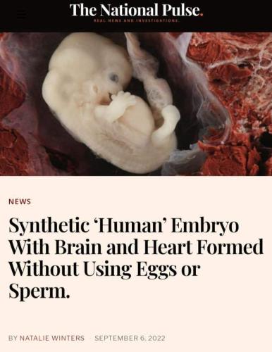 FB_IMG_1663031206066