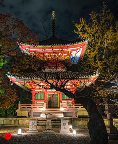 306654976_454035330079982_8840559587946846217_n