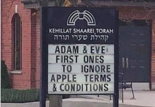 69737489_10156890675229139_3797105591969644544_n