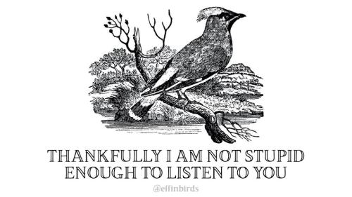 306283728_5573669199359377_4969498564535868206_n