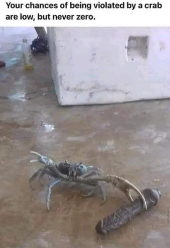 FB_IMG_1662993696153