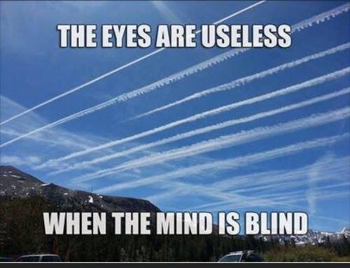 Screenshot_2022-09-02-21-17-50-454_com.duckduckgo.mobile.android