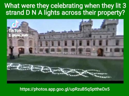 Screenshot_2022-09-08-13-52-42-044_com.google.android.apps.photos