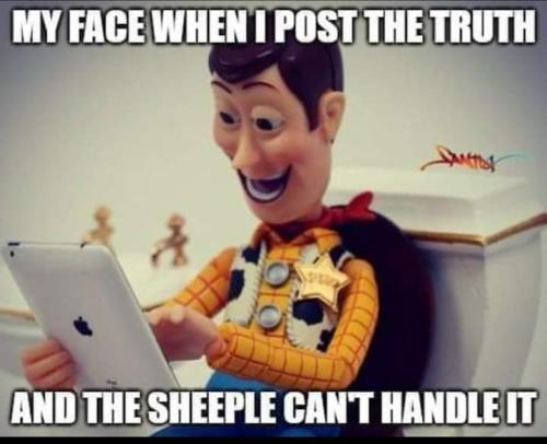 FB_IMG_1662479395959