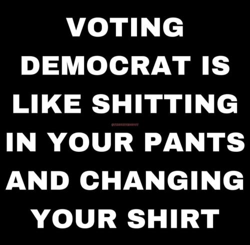 Voting Dem 1