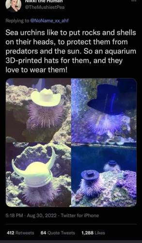 FB_IMG_1662730634060