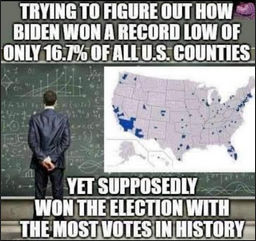 voterfraud359