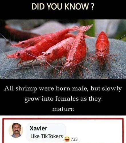 307094035_177021628171187_1185412673447719395_n