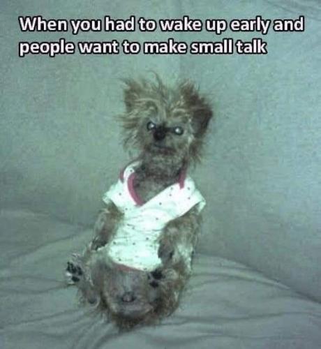 303950765_10227407087378084_4280764405311223422_n