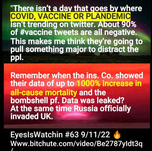 Screenshot_2022-09-15-14-01-25-149_cn.wps.moffice_eng