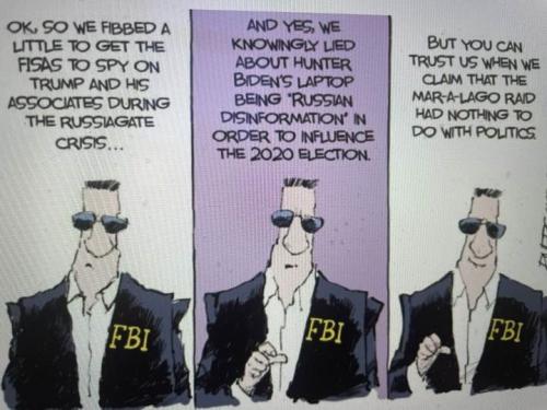 fbi fibs