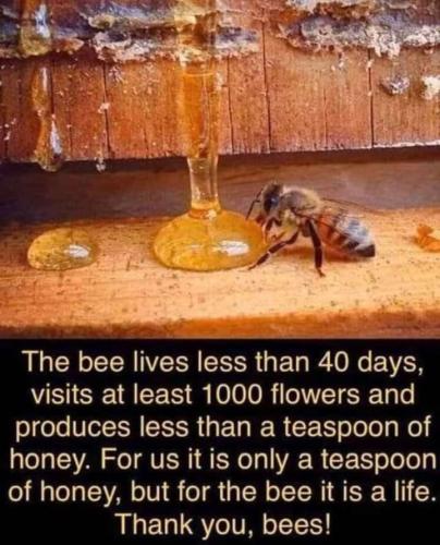 64f581f4-3880-494f-9334-0576d410bd4d