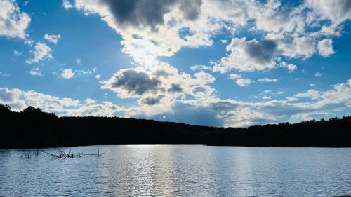 03AAD51C-9A11-42D4-A923-80A8EF605328