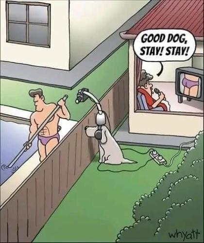 302606715_565659118638889_5669865075485961174_n