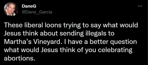 Illegals 1