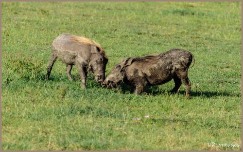 302730138_662820041912684_3746009606373106833_n