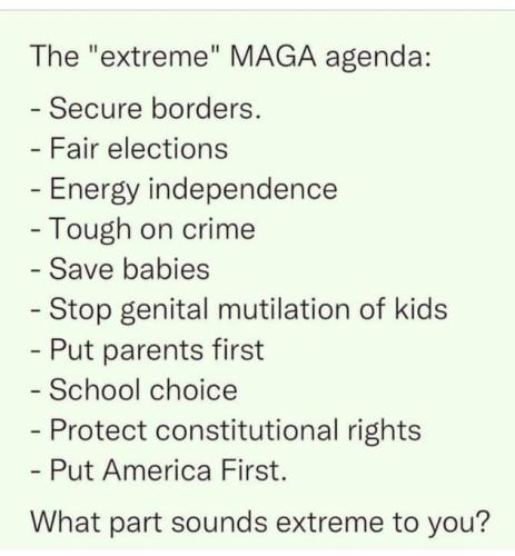 Ultra Maga Agenda 1