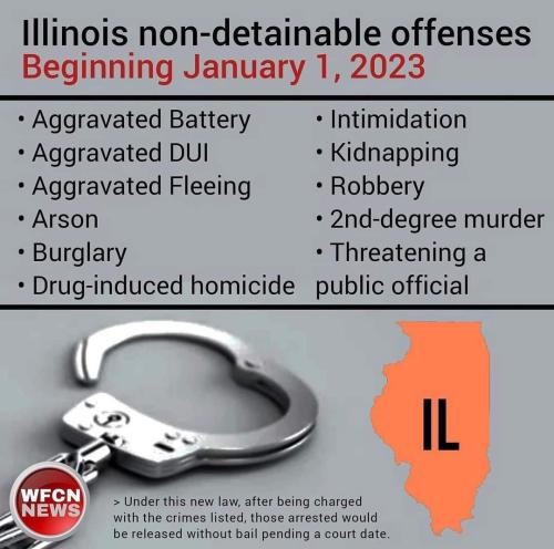 Illinois Non-Detainable Offenses