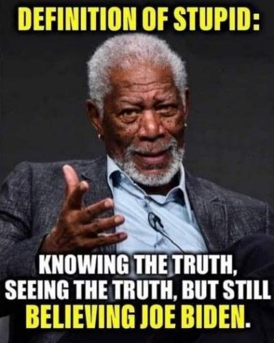 the definition of stupid
