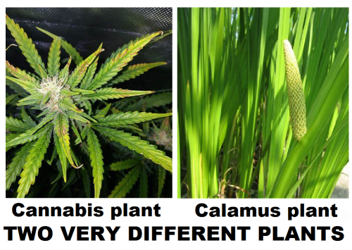 307254244_3212650798985931_1230176604420228568_n