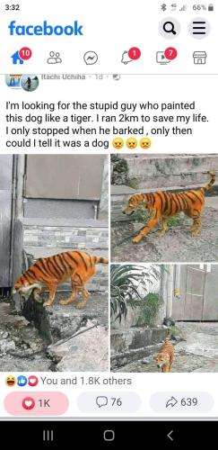 FB_IMG_1664039033822