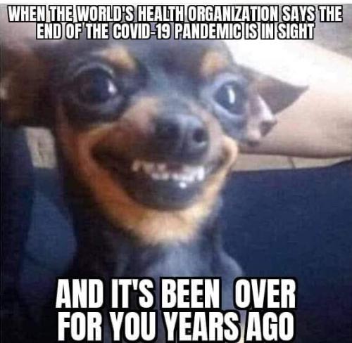 FB_IMG_1663387391881