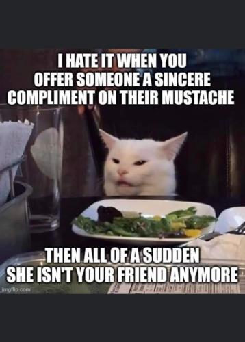 FB_IMG_1664289863286