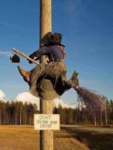 305972656_2065375340517140_4676039484249450078_n