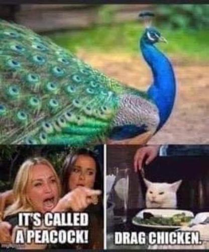 FB_IMG_1664460986053