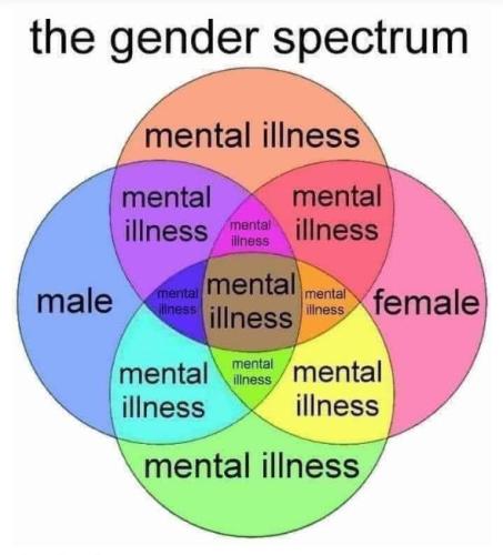 transgender242