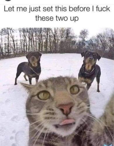FB_IMG_1662564124420