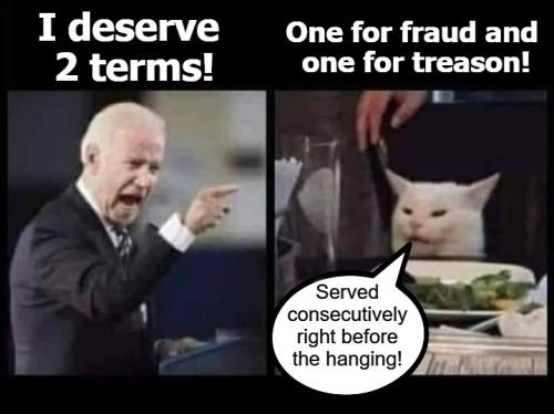 Pedohitler I deserve 2 terms