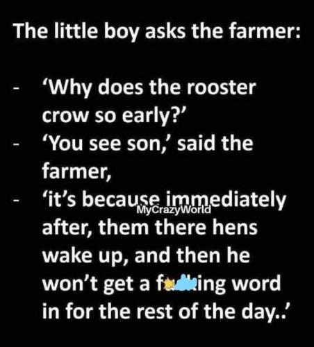 FB_IMG_1663166026227