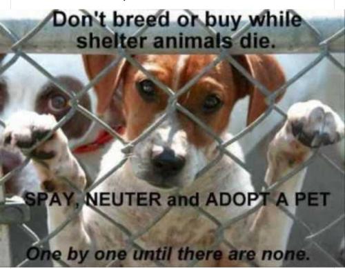 Screenshot_2022-09-15-08-29-14-233_com.facebook.katana