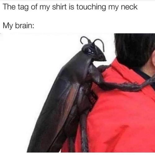 FB_IMG_1663078590540